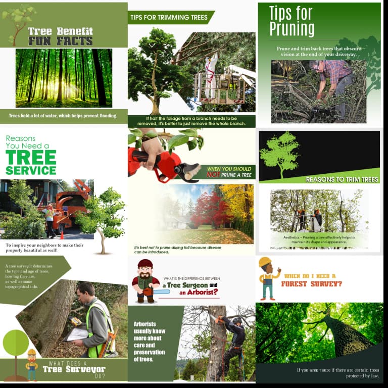 Tree Service Social Media Posting Collage