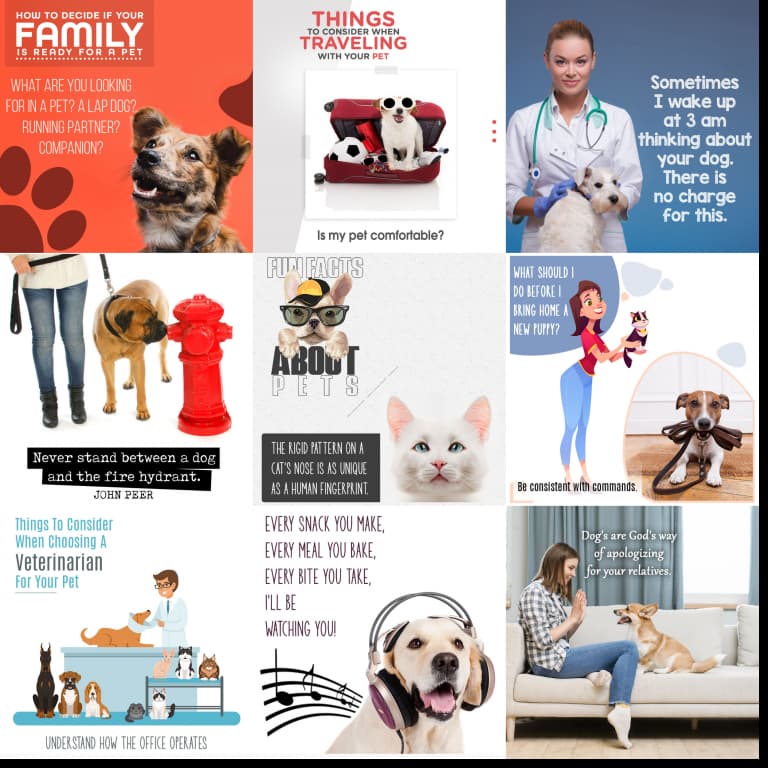 Veterinary Social Media Posting Collage